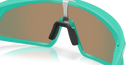 Koop de Oakley RSLV Matte Celeste Prizm Ruby veilig en snel bij Revert 95 online of kom hem passen in de winkel in Haarlem.