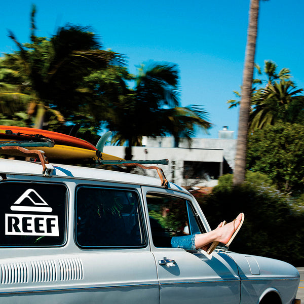 Reef