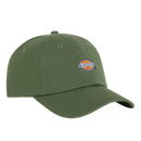 Dickies Hardwick Cap Sea Spray – groene dad cap van katoen met 6-panel design, gebogen klep en geborduurd Dickies-logo