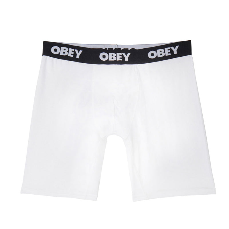 Established work 2 pack boxers