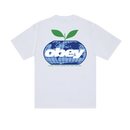 Obey Intercontinental Heavyweight T-Shirt, box t-shirt van 100% cotton 8oz met geprinte graphic op borst en achterkant, relaxed fit, verkrijgbaar in Black en White, maten S-XXL, verkrijgbaar bij Revert 95 Haarlem