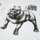 HUF 4 The Dawgs L/S Tee zwart longsleeve t-shirt met graphic op borst en rug