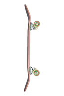 Globe Punter Animal Collector 9.125 inch Complete Skateboard, semi-football shape bowl board met Resin-7 hard rock maple deck, Tensor ATG magnesium trucks en Punter bowl wielen, artwork van Keith Shore, verkrijgbaar bij Revert 95 Haarlem