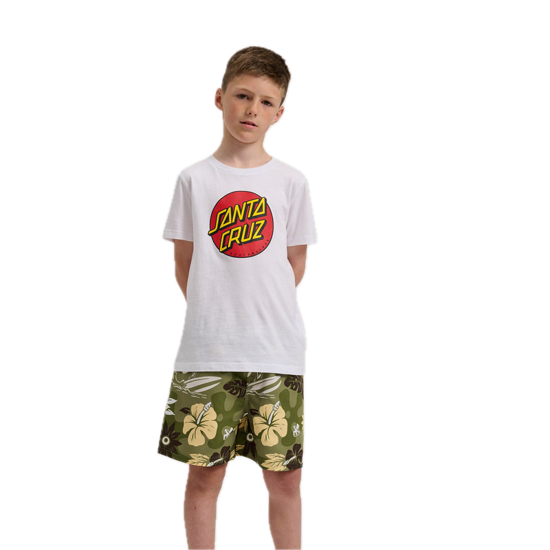Koop de Santa Cruz Youth Winkowski Trip Swimshort veilig  en snel bij Revert 95 online of kom hem checken in de winkel in Haarlem.