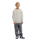 DC Shoes Patch It Hoodie Youth in de kleur Light Heather Grey, verkrijgbaar bij Revert 95 Haarlem