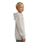 DC Shoes Patch It Hoodie Youth in de kleur Light Heather Grey, verkrijgbaar bij Revert 95 Haarlem