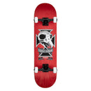 Birdhouse Complete Skateboard Stage 3 Hawk Skull 2 in 8,25 inch, verkrijgbaar bij Revert 95 Haarlem