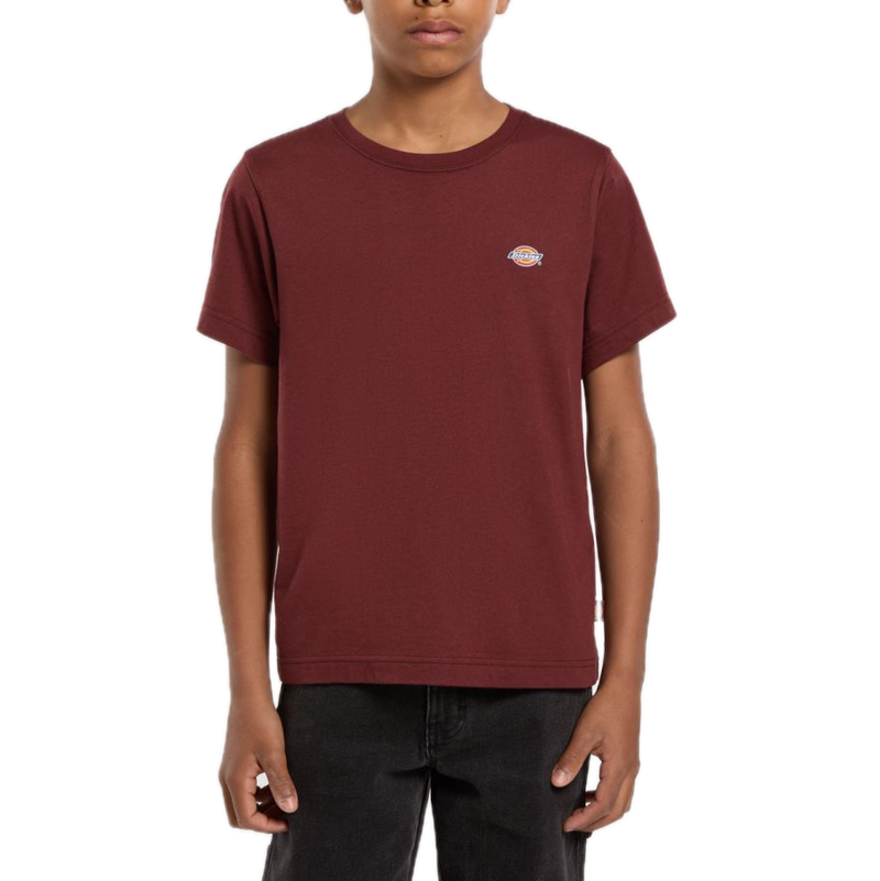 Dickies Youth Mapleton Tee Andorra – bordeauxrood kinder-T-shirt van katoen met regular fit en subtiel Dickies-logo op de borst