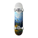 Element Complete Valley compleet skateboard