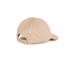 Polar Skate Co Sai Cap College Logo