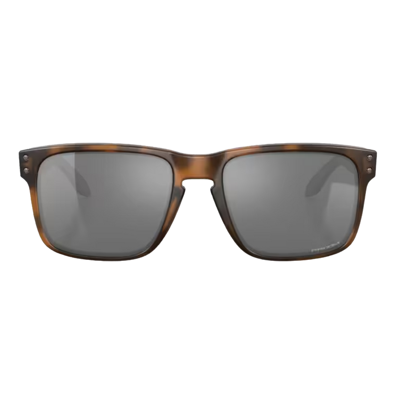 HOLBROOK Matte Brown Tortoise Prizm Black