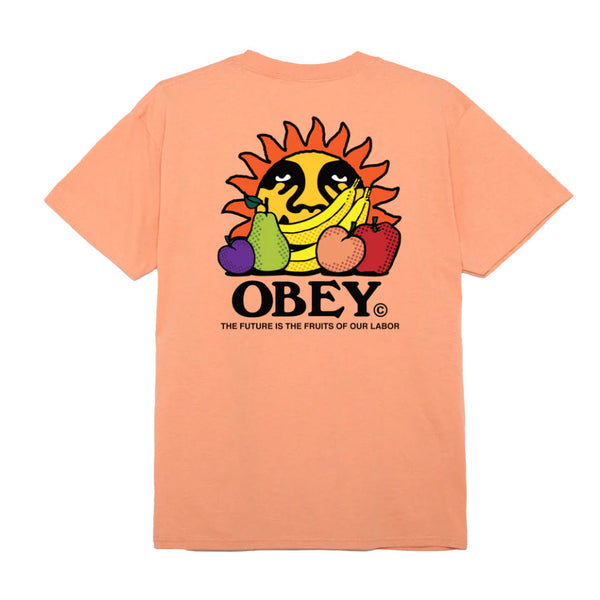 Bestel de Obey The future is the fruits of our labour classic tee snel, gemakkelijk en veilig bij Revert 95. Check onze website voor de gehele Obey collectie of kom gezellig langs bij onze winkel in Haarlem.