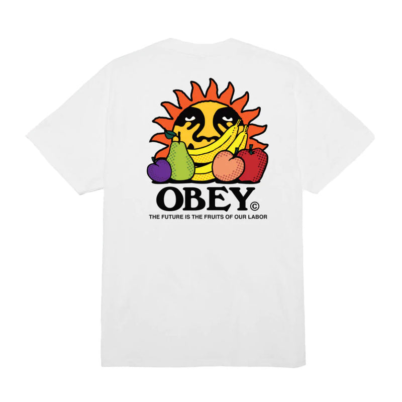 Bestel de Obey The future is the fruits of our labour classic tee snel, gemakkelijk en veilig bij Revert 95. Check onze website voor de gehele Obey collectie of kom gezellig langs bij onze winkel in Haarlem.