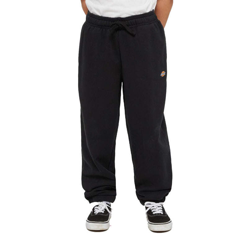 Bestel de Dickies MAPLETON SWEATPANT KIDS BLACK snel, gemakkelijk en veilig bij Revert 95. Check onze website voor de gehele Dickies collectie of kom gezellig langs bij onze winkel in Haarlem.