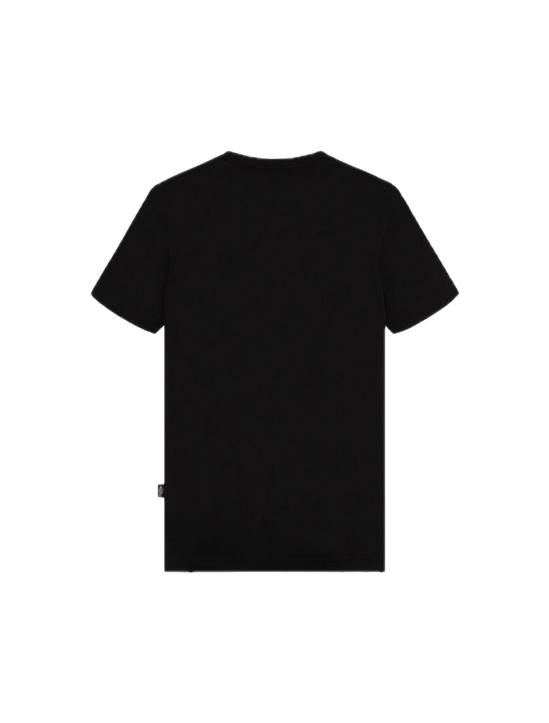 Dickies Youth Mapleton Tee Black – zwart kinder-T-shirt van katoen met regular fit en subtiel Dickies-logo op de borst