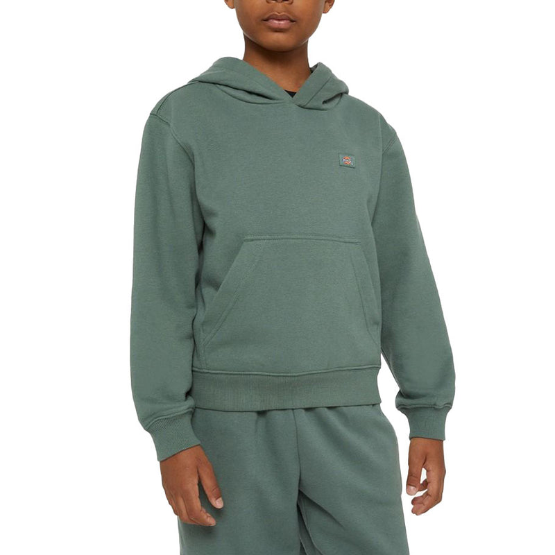 Bestel de Dickies OAKPORT HOODIE KIDS DARK FOREST snel, gemakkelijk en veilig bij Revert 95. Check onze website voor de gehele Dickies collectie of kom gezellig langs bij onze winkel in Haarlem.