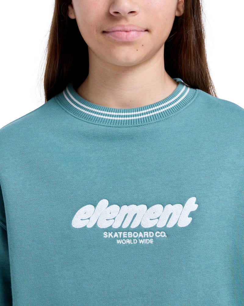 Koop het Element 90s 2.0 Hooded Sweater KIDS veilig en snel bij Revert 95 online of kom hem checken in de winkel in Haarlem.