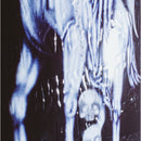 Fucking Awesome Elijah Berle Muerte skateboard deck Shape 2 in 8.5", artwork door Tercer Mundo, inclusief gratis Jessup griptape, verkrijgbaar bij Revert 95 Haarlem