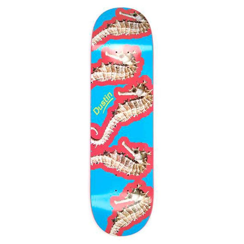 Alltimers Species Dustin Seahorse Skateboard Deck 8,1” achterkant Revert95.com