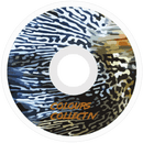 Colours Collectiv Fish Camo Skatewielen wijde vorm