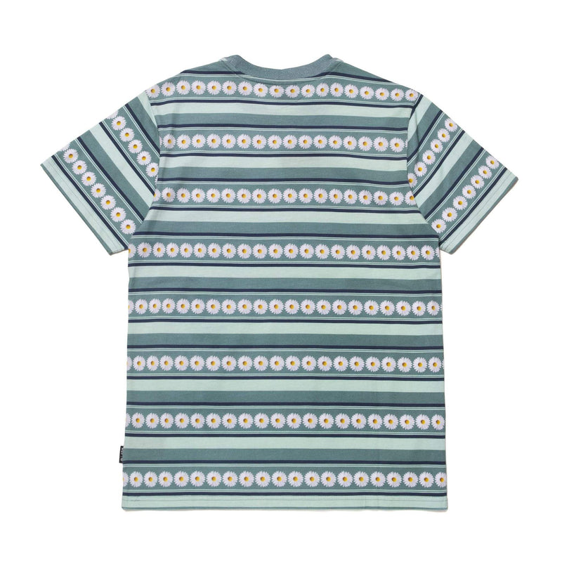 DAISY STRIPE S/S KNIT TOP