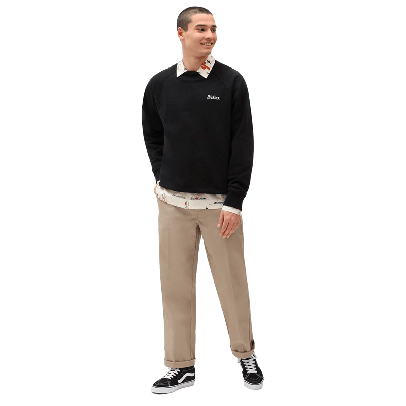 Dickies BETTLES SWEATSHIRT zwart voorkant outfit