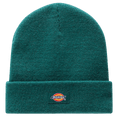 Dickies GIBSLAND Beanie Ponderosa Pine voorkant
