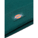 Dickies GIBSLAND Beanie Ponderosa Pine voorkant close-up