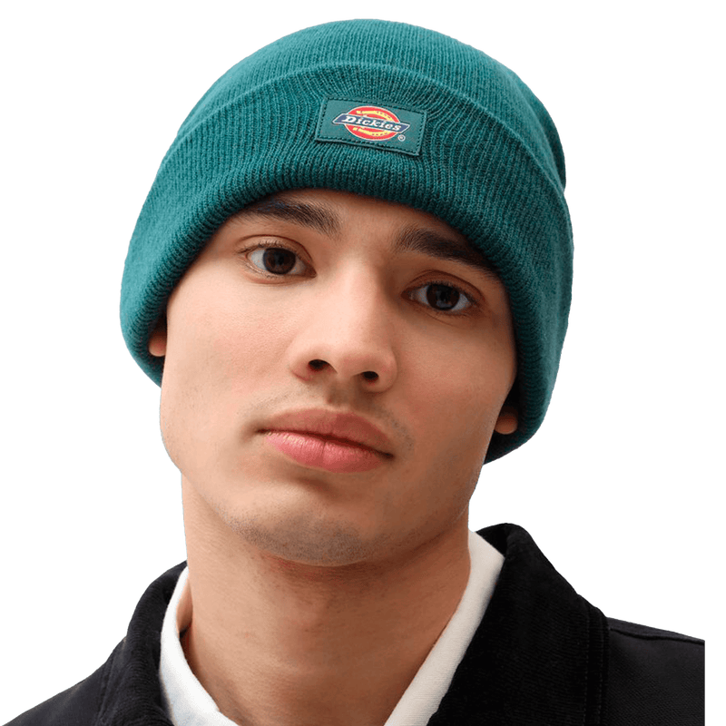 Dickies GIBSLAND Beanie Ponderosa Pine voorkant man