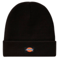 Dickies GIBSLAND Beanie zwart voorkant