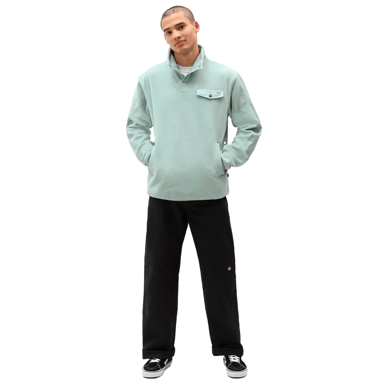 Dickies STORDEN PANT outfit