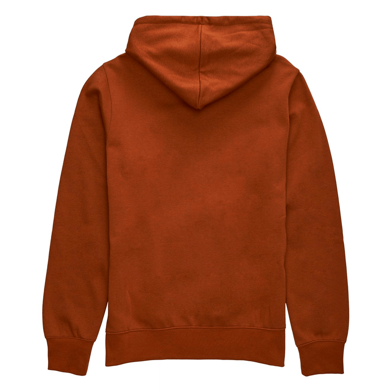 Element CORNELL CLASSIC HOODIE glazed ginger achterkant