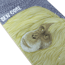 Magenta Skateboard deck Ben Gore ZOO SERIE BOARD achterkant close-up Revert95.com