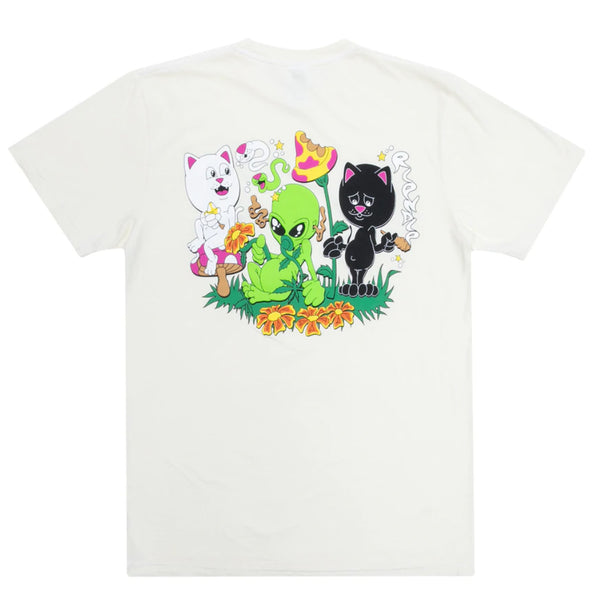 Bestel de Ripndip Friday Jr Tee snel, veilig en gemakkelijk bij Revert 95. Check onze website voor de gehele Ripndip collectie.