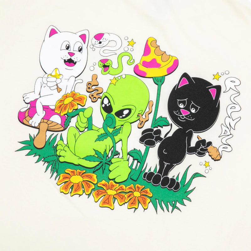 Bestel de Ripndip Friday Jr Tee snel, veilig en gemakkelijk bij Revert 95. Check onze website voor de gehele Ripndip collectie.