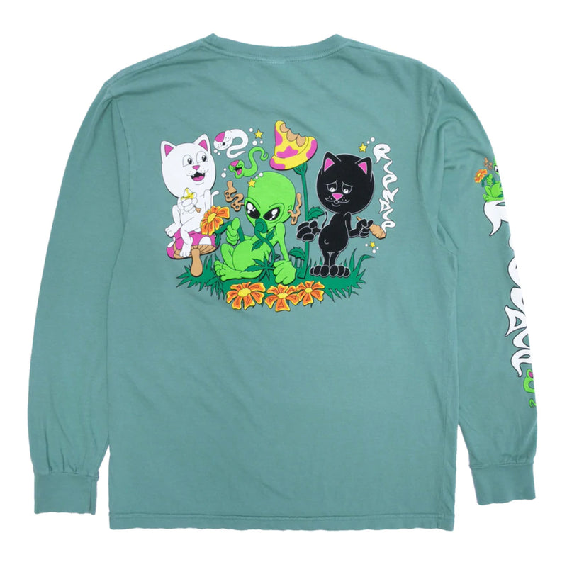 Bestel de Ripndip Friday Jr Long Sleeve snel, veilig en gemakkelijk bij Revert 95. Check onze website voor de gehele Ripndip collectie.