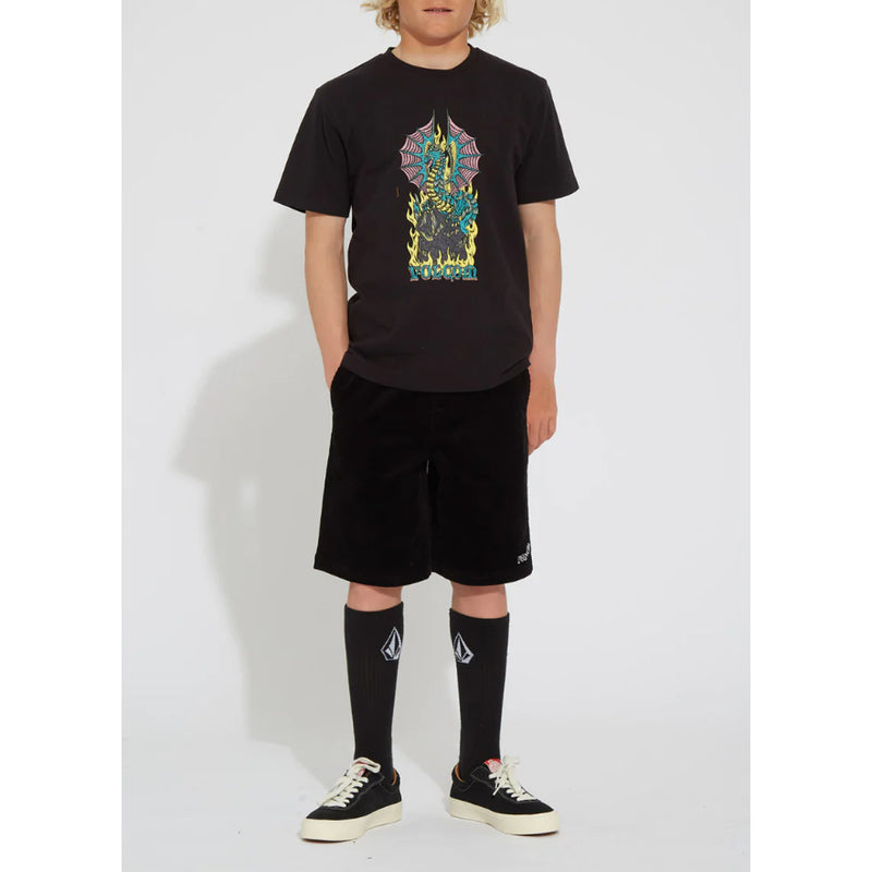 Bestel de Volcom Kids ALSTONE SHORT SLEEVE TEE veilig, gemakkelijk en snel bij Revert 95. Check onze website voor de gehele Volcom collectie, of kom gezellig langs bij onze winkel in Haarlem.	