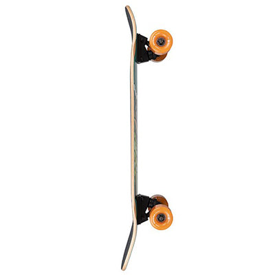 Cruiser Artist Pilsner 28.75