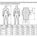 Bearsuit Back Protector